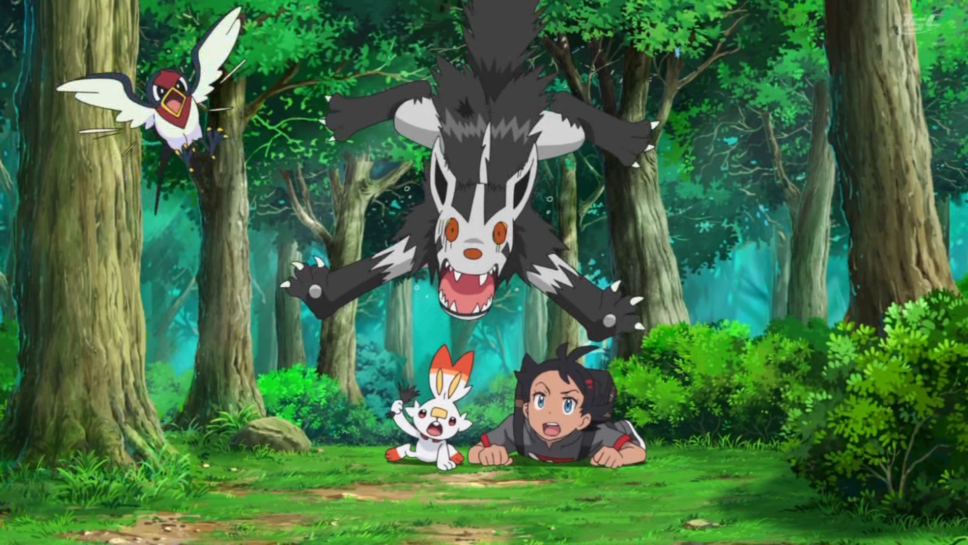 アニポケ好きの人 次回 激闘のホウエン地方 挑戦バトルフロンティア Anipoke アニポケ好きの人 次回 激闘のホウエン地方 挑戦バトルフロンティア Anipoke