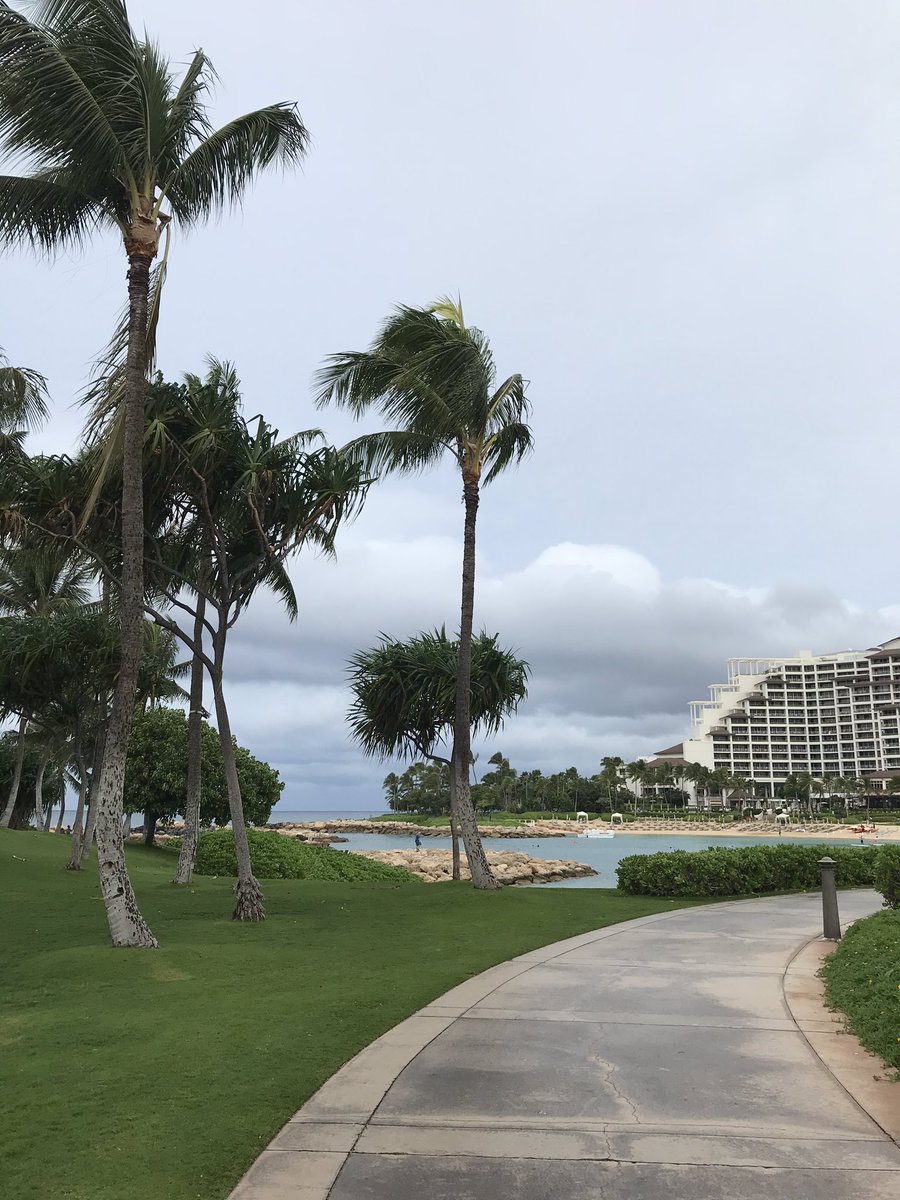 tdawgshouse's tweet photo. Aloha Coach Pete #thanksCP https://t.co/LMXS8SRJe0