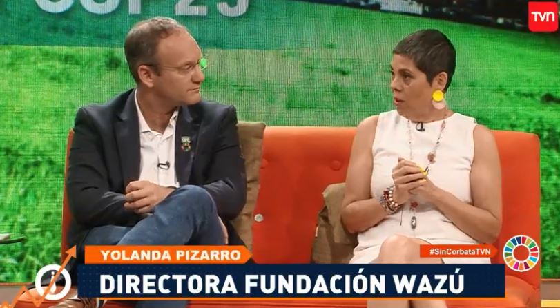 Las mujeres vivimos el cambio climático de manera distinta a como lo viven los hombres, Yolanda Pizarro <a href="/YOPIZA/">Yolanda Pizarro Carmona</a> en #SinCorbataTVN

Sigue la señal en vivo bit.ly/36Z0JbB
