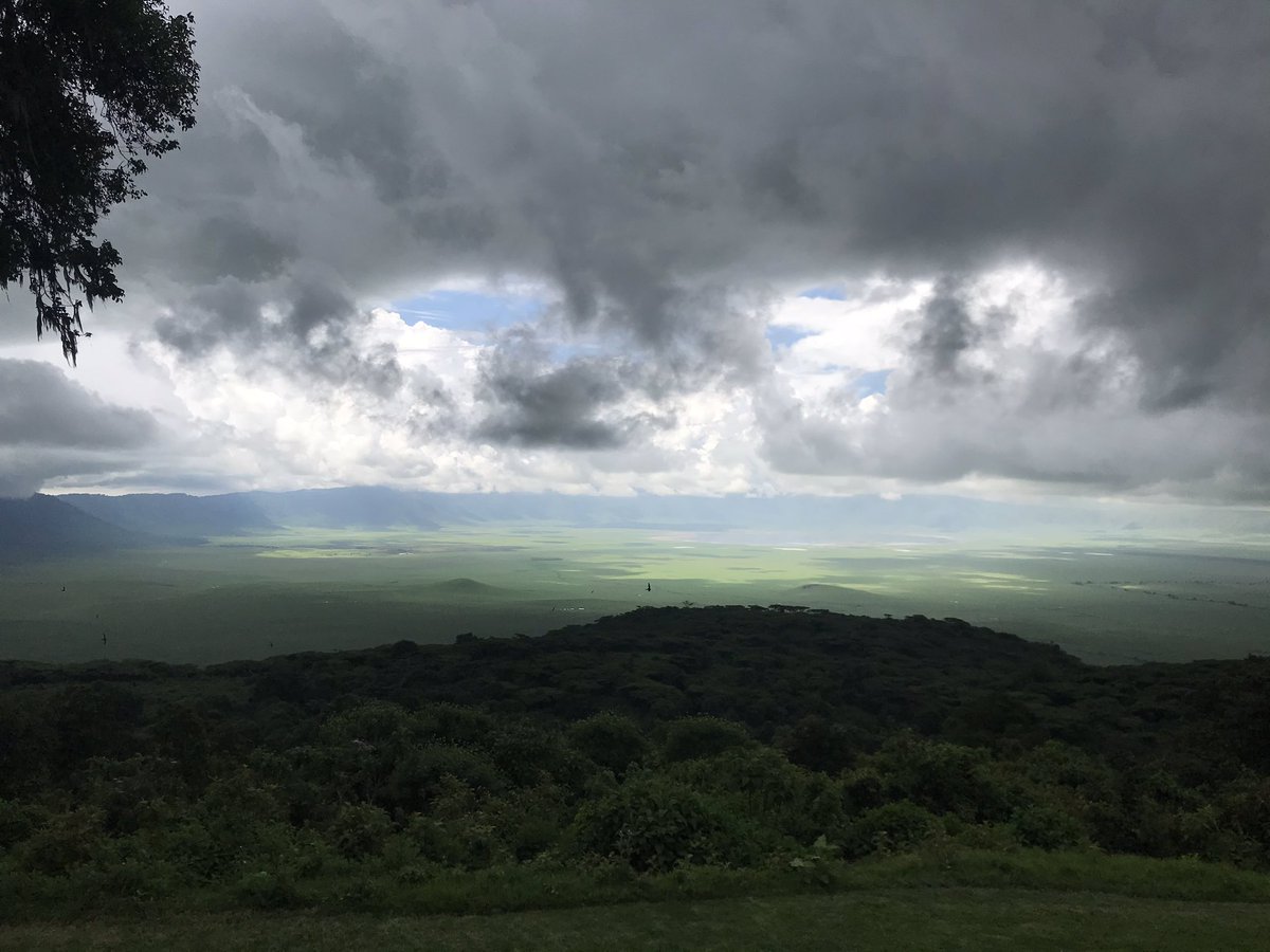 MaitreIshii's tweet image. Ngorongoro Conservation Area #tanzanie #slowweekend