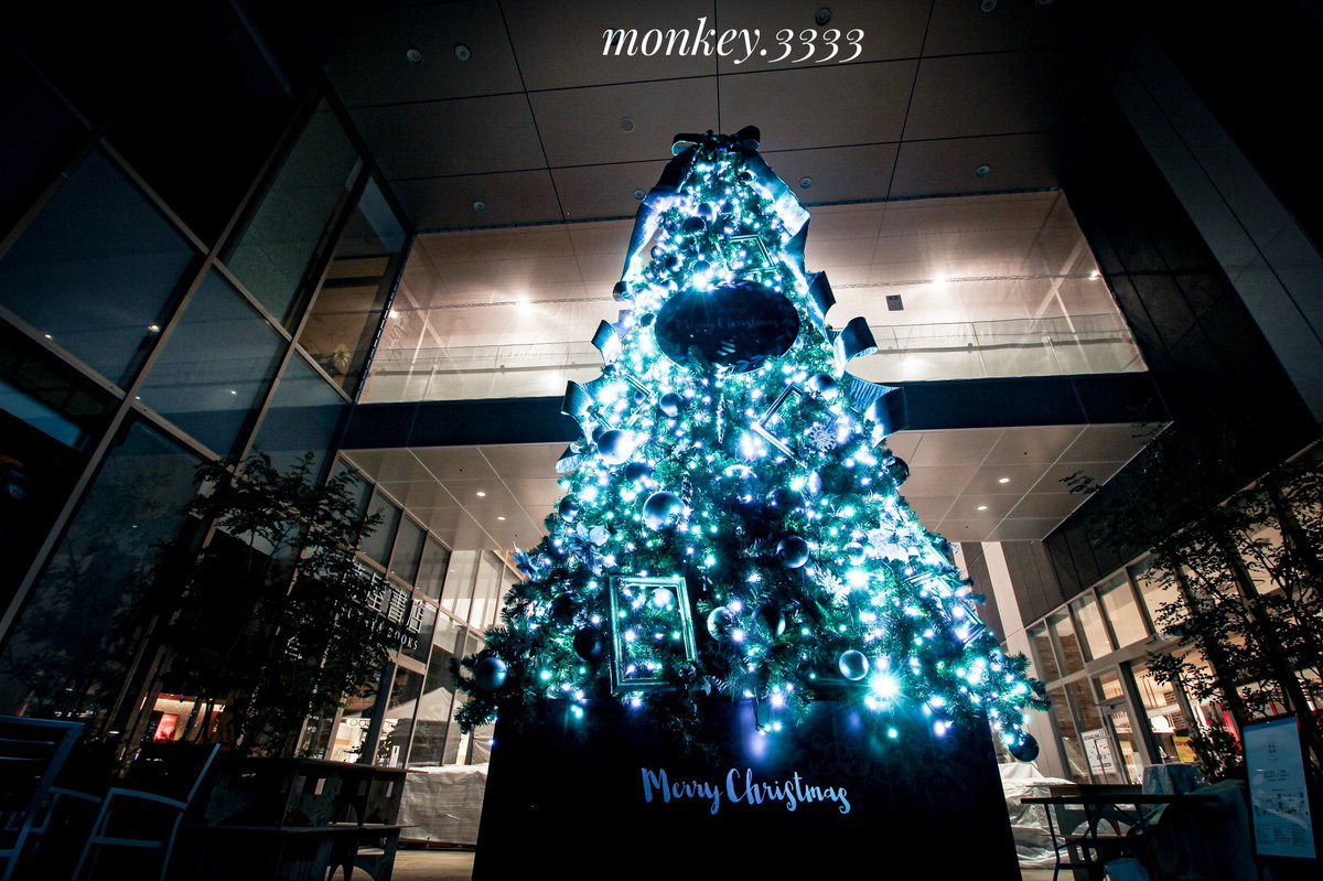 monkey3333photo's tweet photo. メリーハロウィンクリスマス🎄🎃 https://t.co/jptIbXpcV1