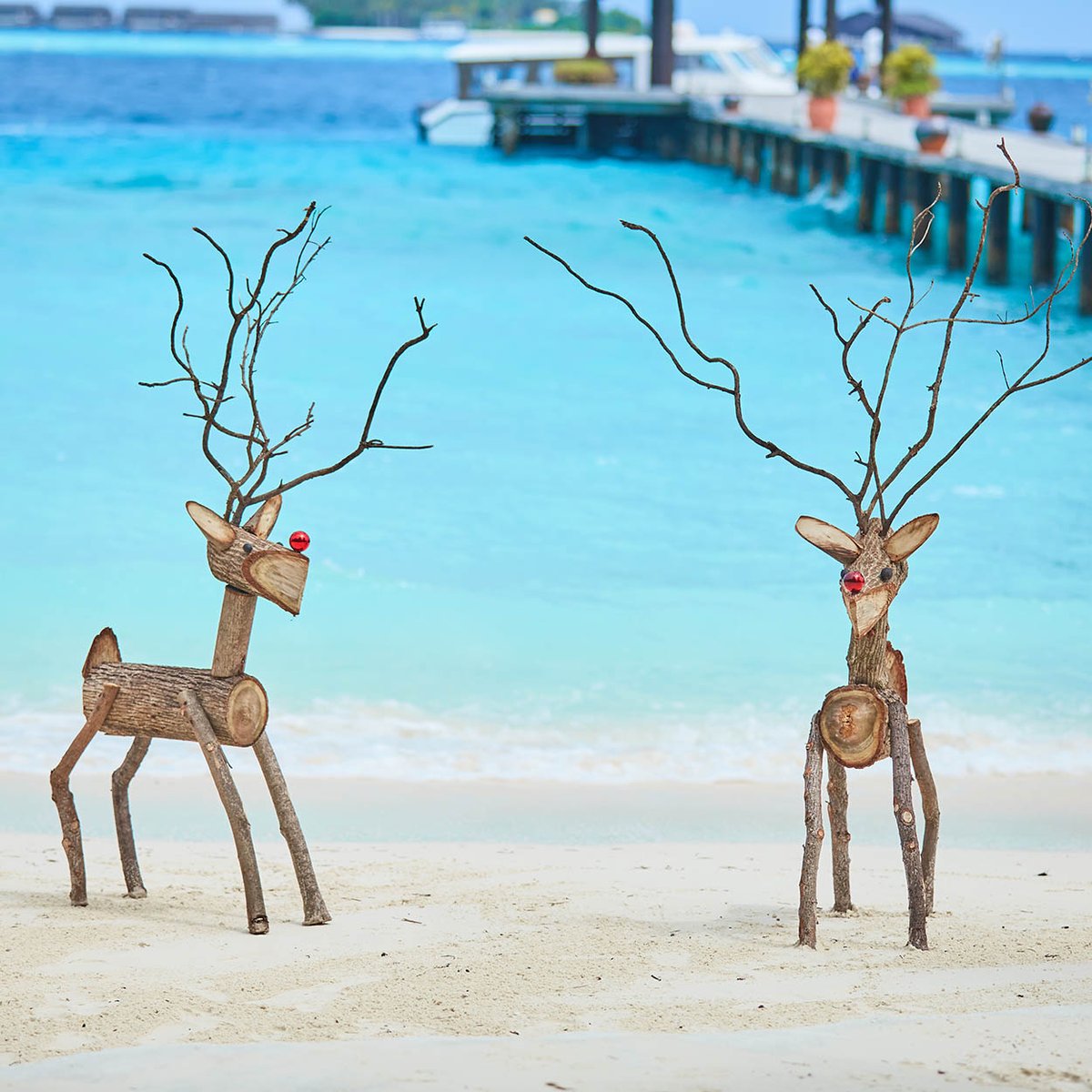 The sun is shining and we're feeling festive.
.
.
#komandoomaldives 
#reindeer #christmas #wintersun #visitmaldives #christmasholiday #dreamdestination