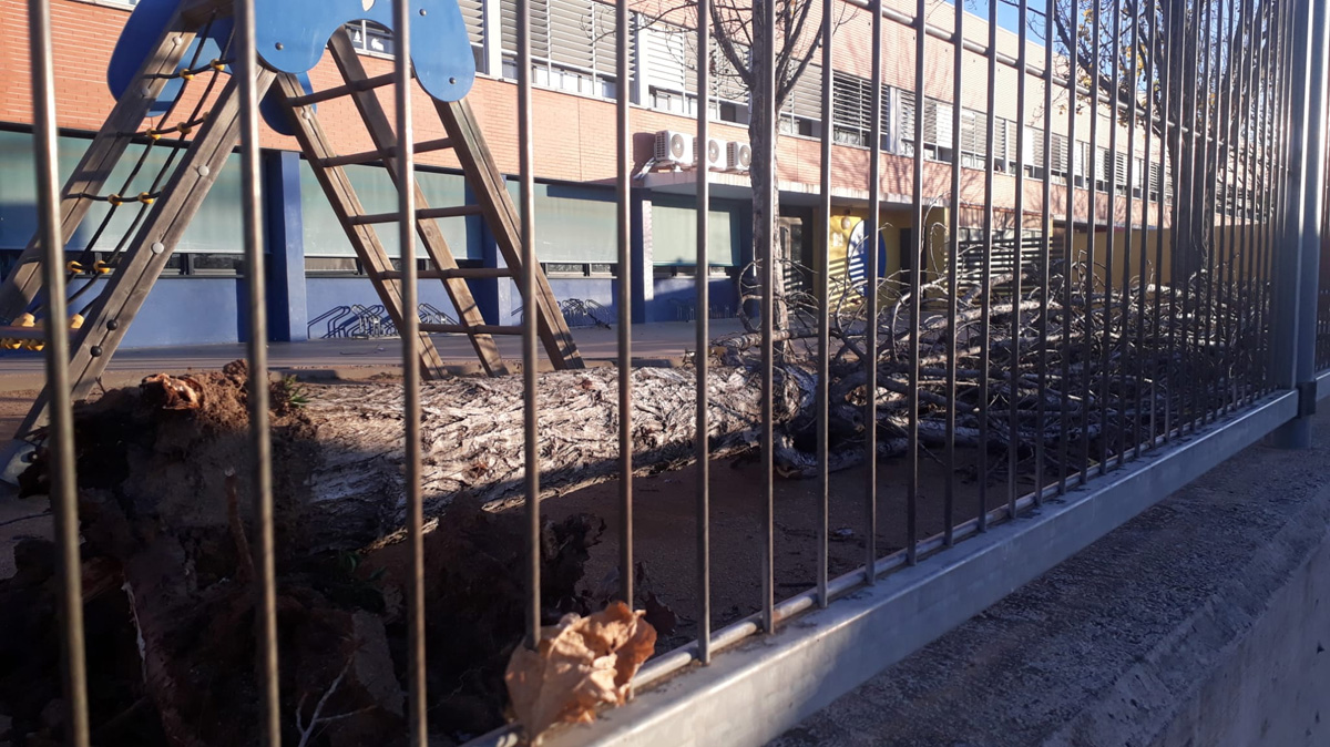 El vent fa estralls al Baix Montseny i obliga a anul·lar el Pessebre Vivent de Breda naciodigital.cat/baixmontseny/n… <a href="/ajuntamentbreda/">Ajuntament de Breda</a> <a href="/AjVallgorguina/">Aj. de Vallgorguina</a> @aj_smp <a href="/savilamajor/">Sant Antoni de Vilamajor 🎗️</a> #baixmontseny #vent