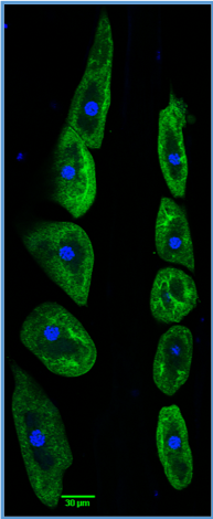 Raghu Padinjat പടിഞാററ് രഘൂ tweet media