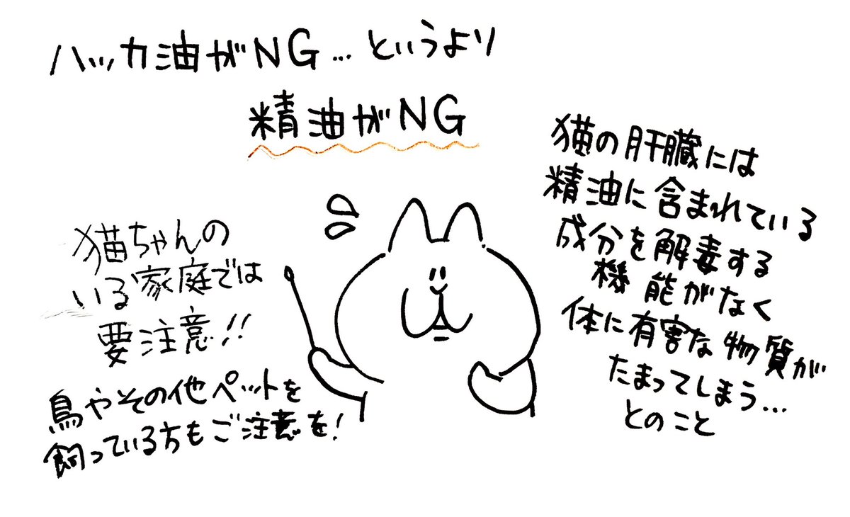 kawabe_kon's tweet photo. そんな使い方があるなんて知らなかった！一度は見たことがある #ハッカ油 、入浴剤だけじゃない便利な使い方をちょっとまとめてみました！

#ハッカ油万能説 #PR (#提供 @kenei_pharm) https://t.co/lsII1WBVO2