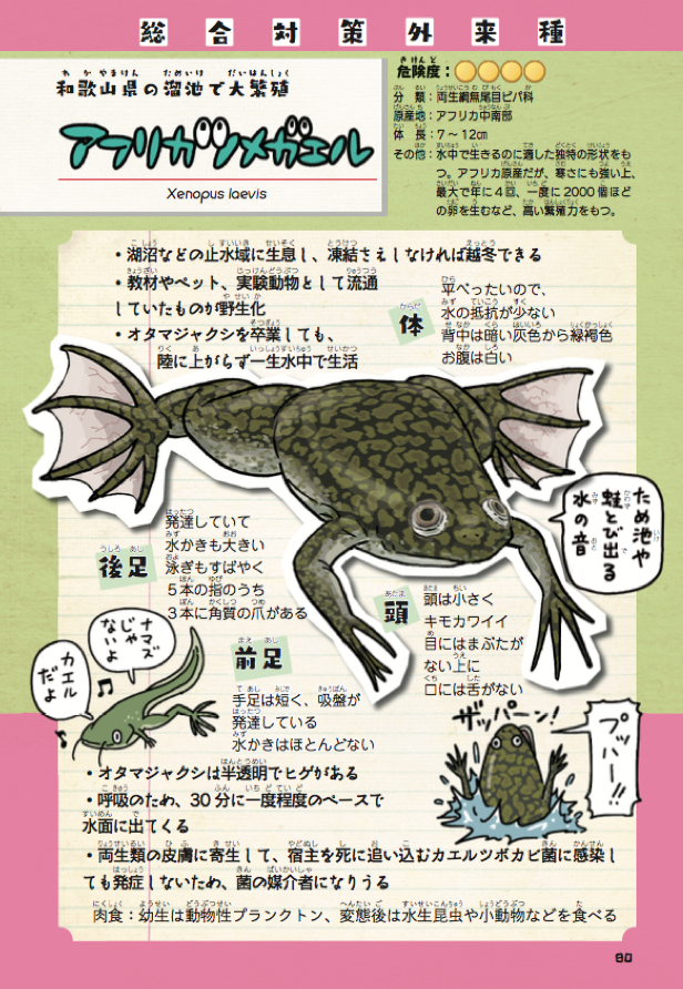 みんな大好き、アフリカツメガエルも載ってる

『侵略!#外来いきもの図鑑  もてあそばれた者たちの逆襲』 (?試し読みページ有ります)

分かりやすいと好評発売中です。総ルビです。?クリスマスプレゼントや、お年玉にもどうぞ。
#鉄腕DASH #グリル厄介 