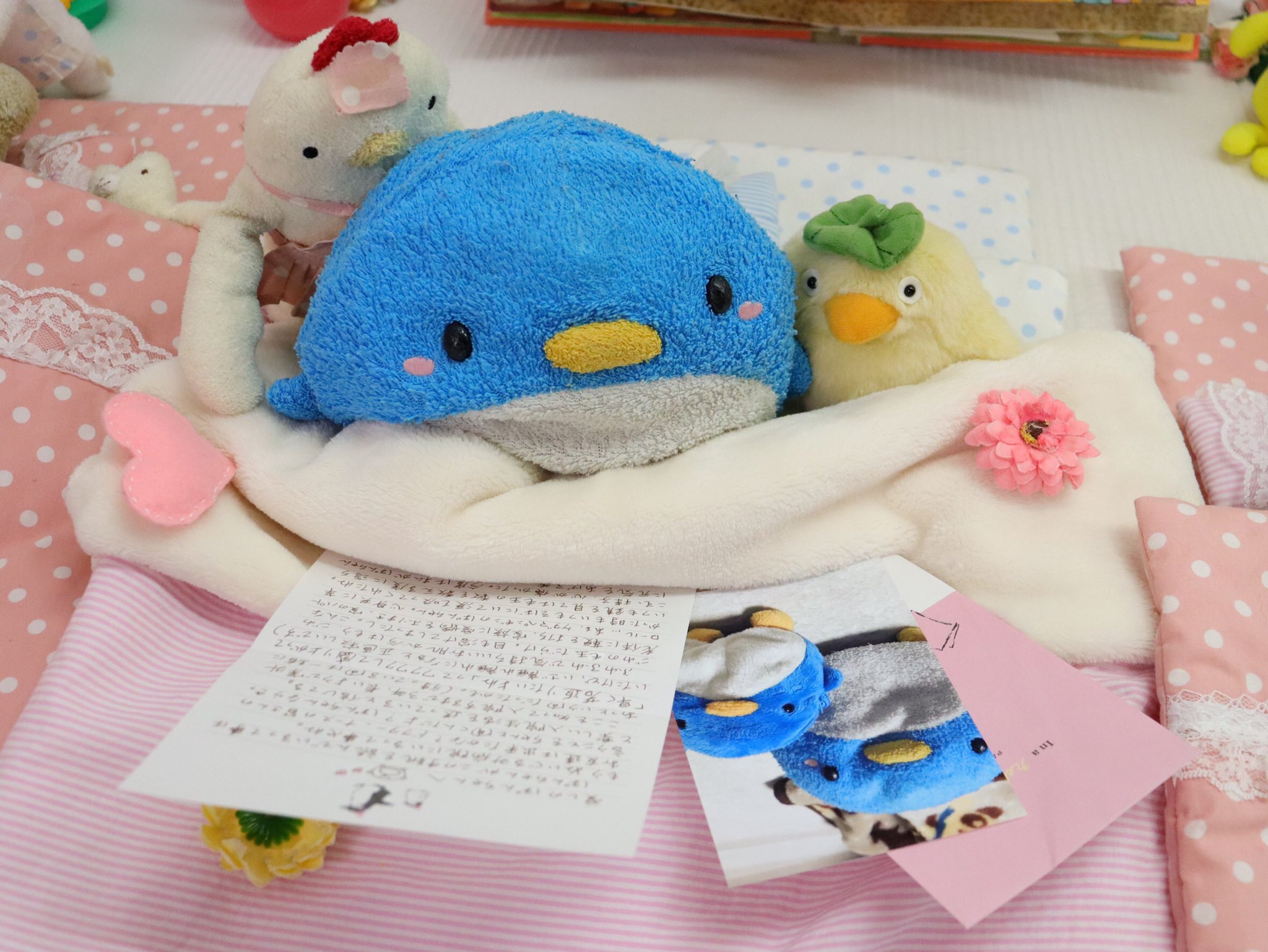 フリッカ  まつもと　ぬいぐるみ　マリン　ペンギン フリッカまつもと ましゅまろせらぴ まりんシリーズ ペンギン