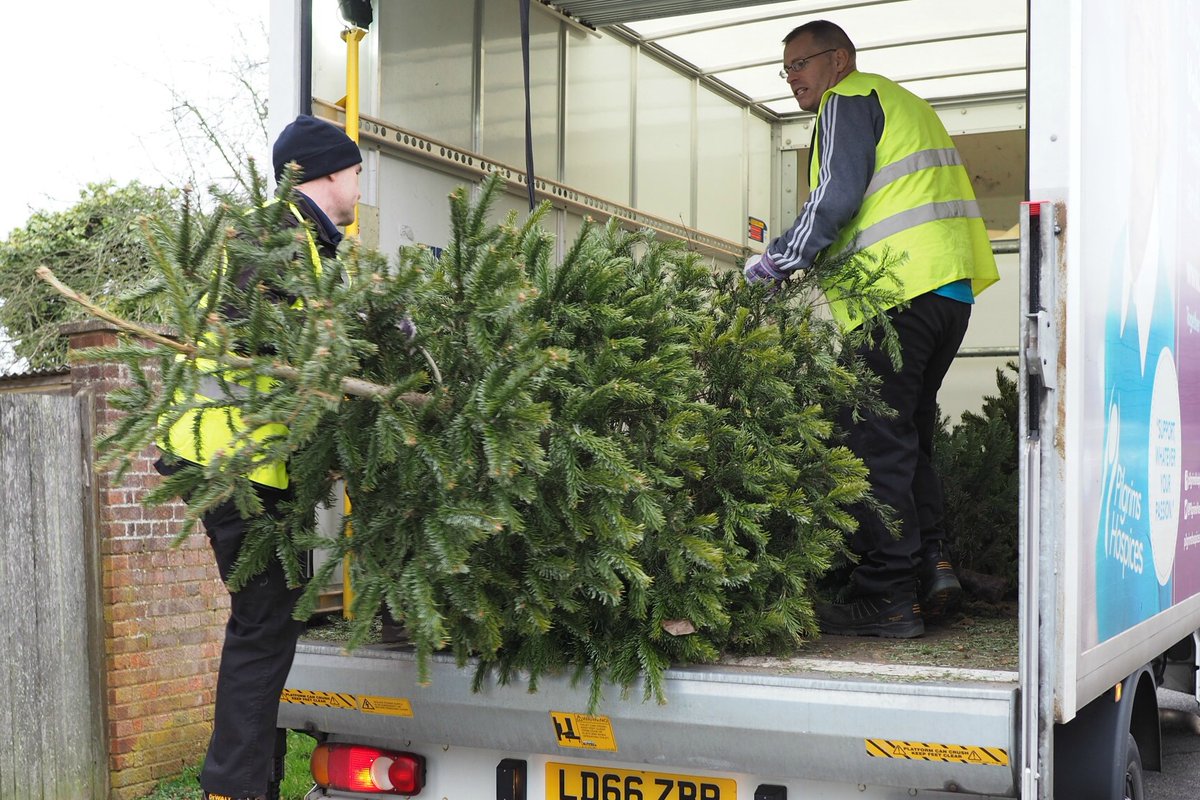 Our popular #PilgrimsTreeRecycling campaign is back for its eighth year! <a href="/AshfordCouncil/">ashfordcouncil</a> residents can have their real Christmas tree collected from their doorstep and recycled in return a donation to Pilgrims Hospices. Read more and register today: ow.ly/BAtk30q32mg 🌲💙
