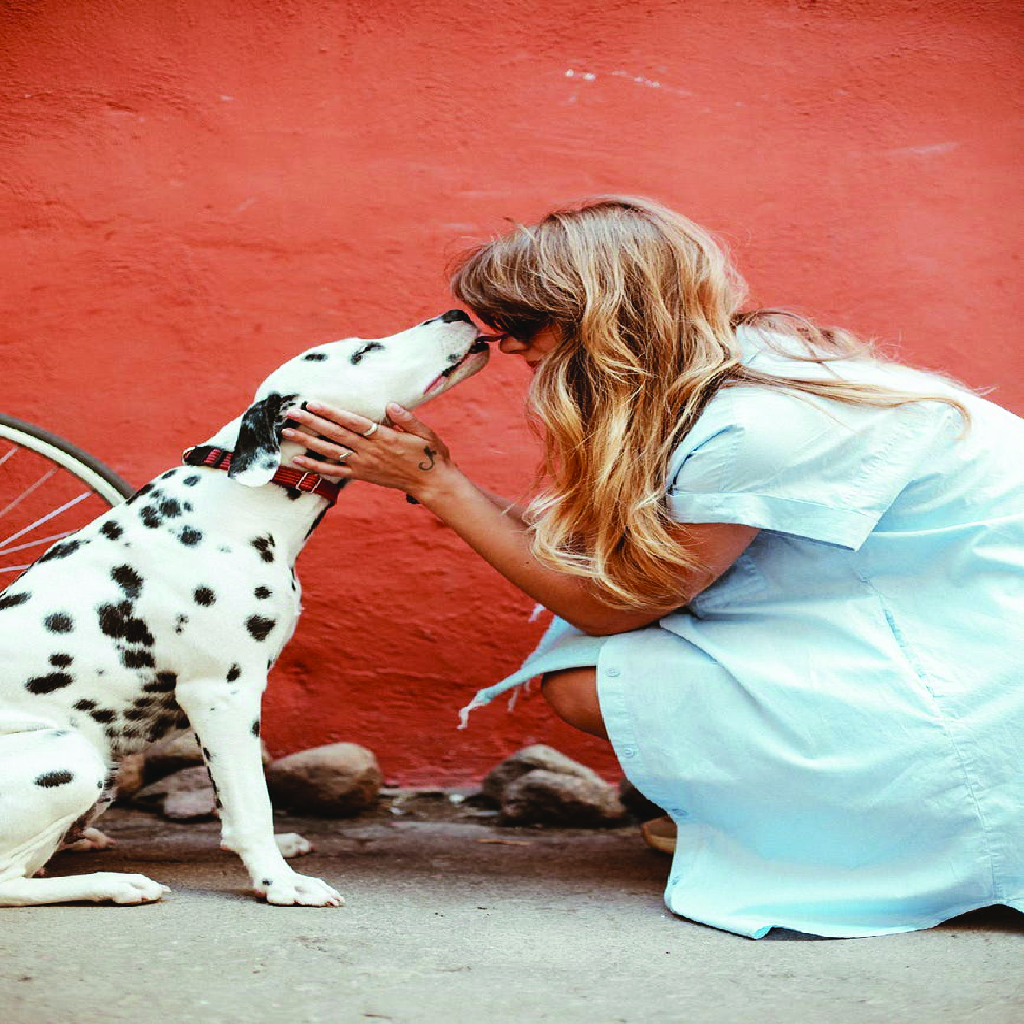 heaven_services's tweet photo. Your pet won’t feel longing for home while you’re out of town.
We promise to give your pet comfort and feeling of security in our care, 

BOOK OUR PET BOARDING NOW! 

Website link:  https://t.co/JYRNYla9W5 https://t.co/LtvwLnfk1b