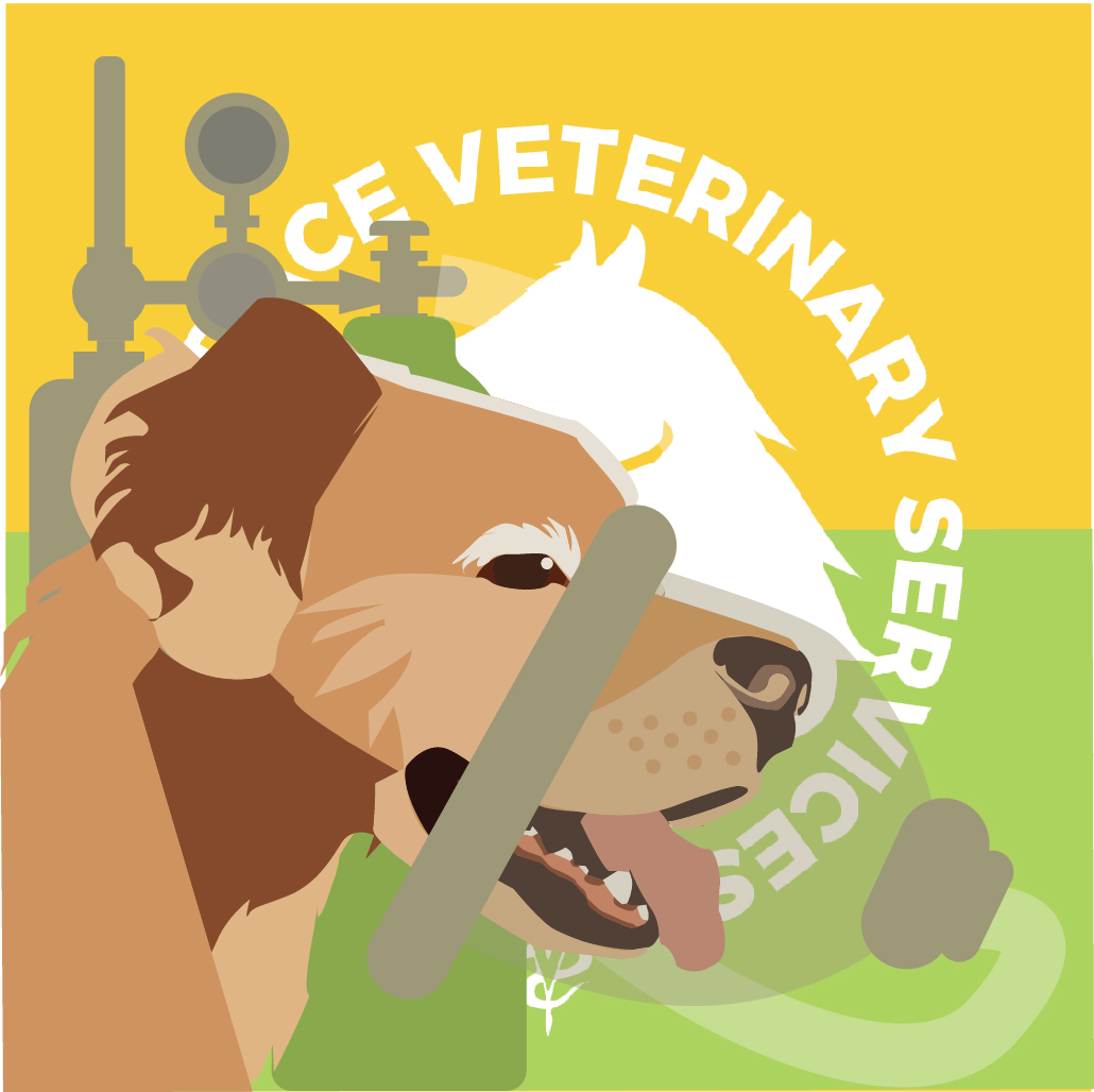 heaven_services's tweet photo. Does your pet in need for surgery procedures to restore
his former self as healthy,energetic and full of happiness?

Stay with us for our service updates, we will provide service that your buddy needs. https://t.co/7n6Tj42NZU