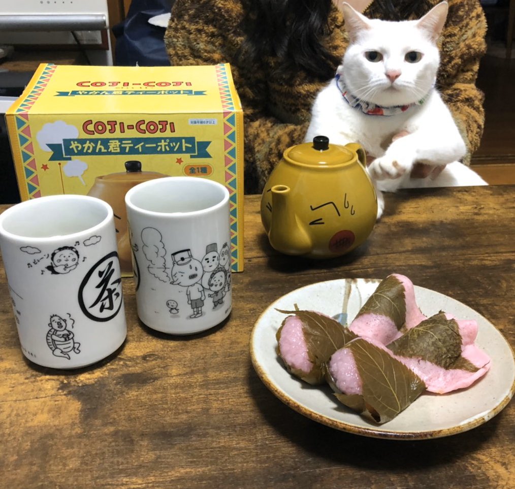 うにぽとしらこ on X: うにぽとしらこ on X: