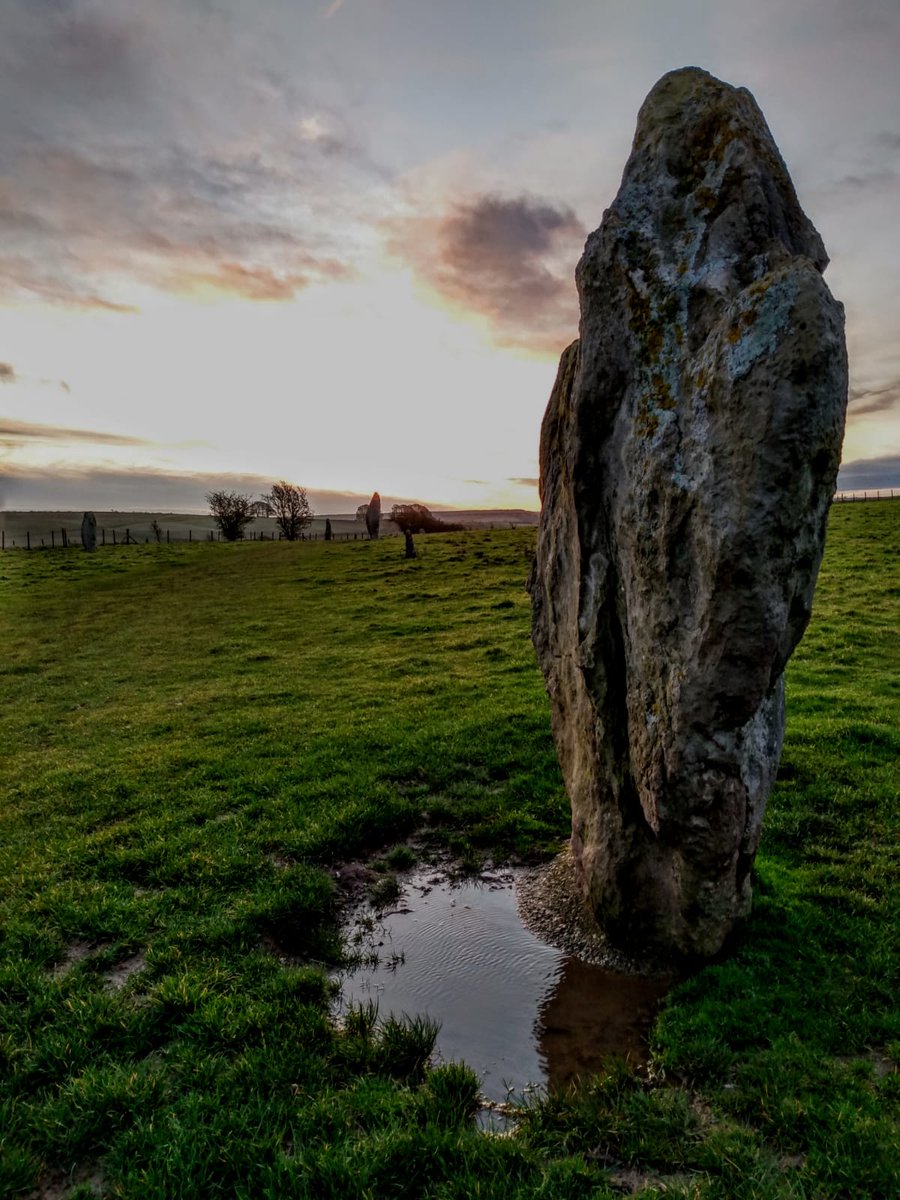 Dr Nichola Arthur tweet media