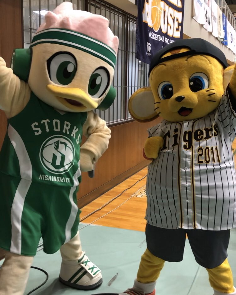 驚くばかりキー 太 かわいい イラスト画像