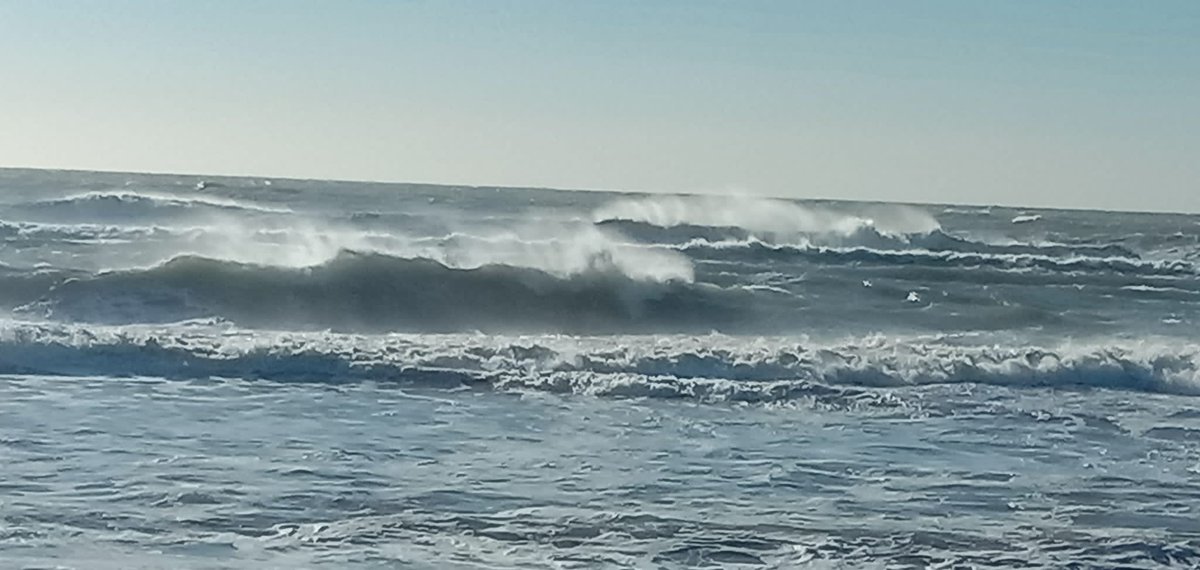 Defensem El Castell tweet media