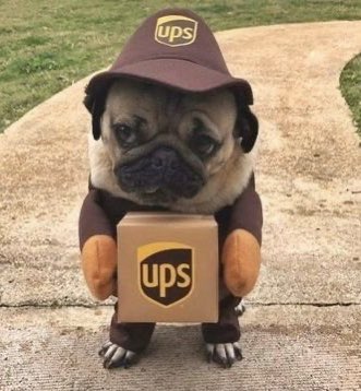 animalsbgrindin's tweet photo. A dog working #AnimalsDoingStuff https://t.co/446FTCI8zx