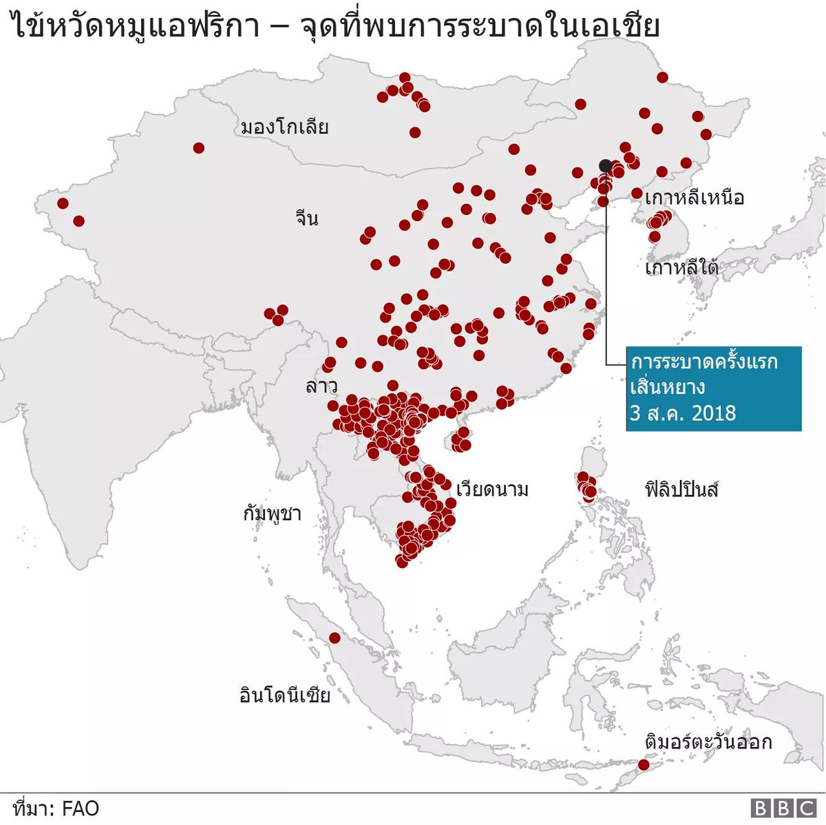 แมวส้ม tweet media
