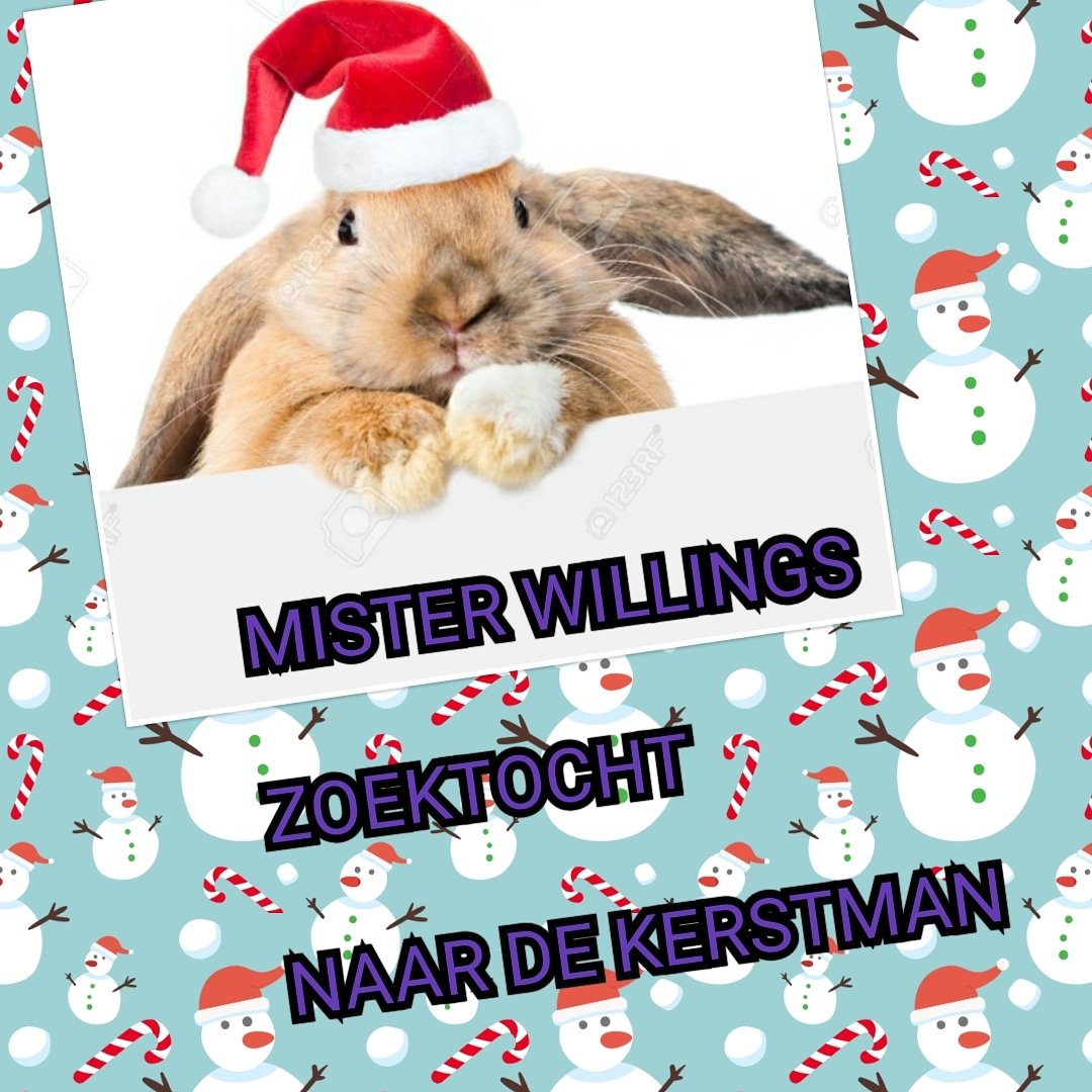 Sandra Ringoot tweet media