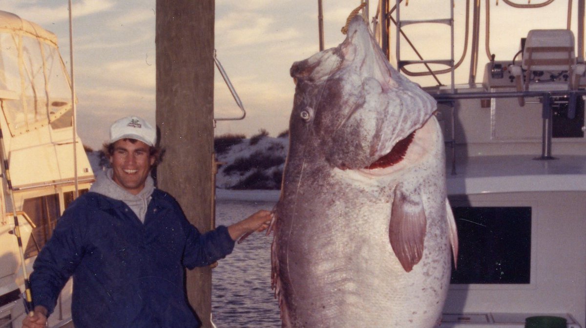 TheIGFA's tweet photo. On this day in 1985, Steve Haeusler set the IGFA All-Tackle World Record for Warsaw grouper with this massive 198.1-kilogram (436-pound, 12-ounce) fish. Haeusler was fishing out of Destin, Florida. Congrats on a record that still stands 34 years later! #fishigfa #joinigfa https://t.co/gPux6sHqf6
