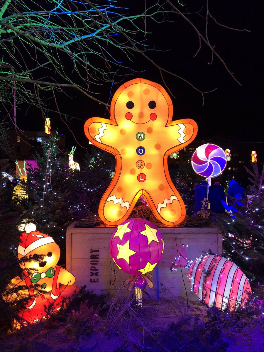 AniellaLEBEAU's tweet photo. Visite immersive féerique & chasse au trésor en #réalitéaugmentée sur le Sentier des Lanternes, jardin Fabert, à Metz. 👍
#MOSL 🎉
#aMustDo ✅
#Christmas ❄️
#GingerbreadMan 🤩
#GingerbreadHouse 😍
#ChristmasSpirit 🎄
#GettinginthemoodforChristmas 🥳 https://t.co/gJEC3lOUxA