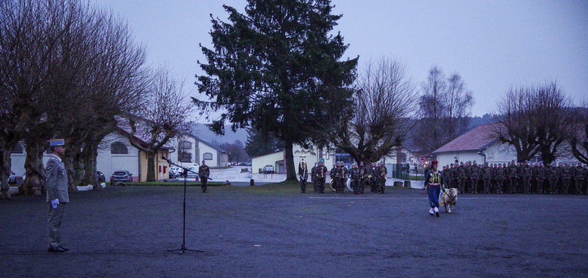 1er_Tirailleurs's tweet photo. Vendredi dernier durant les couleurs régimentaires et en la présence de toutes les compagnies, Messaoud V a été promu au grade de caporal. #armee #mascotte #7bb @7e_brig_blindee https://t.co/vNF4ltTtNd
