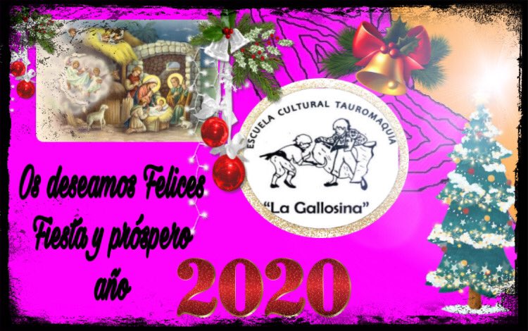 ESCUELA TAURINA (@lagallosina) on Twitter photo 