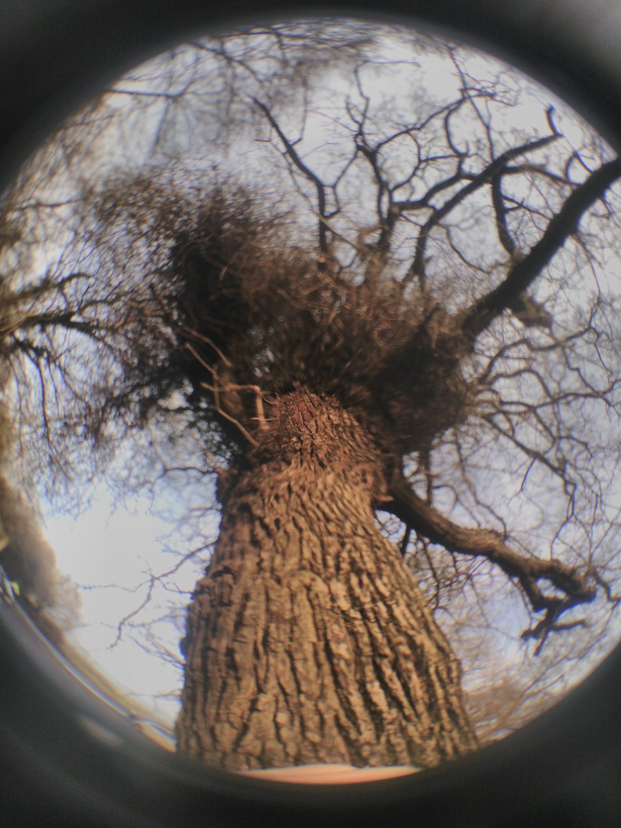 New perspective on myself using a fisheye lens. Maybe rather appropriate because if you humans don't start reducing fossil fuel exploitation soon most of us will be underwater. #ClimateEmergency