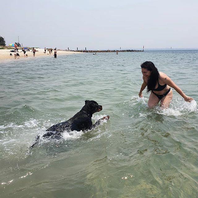 melinda_cruz's tweet photo. Car rides might make him sick but the beach sure made him happy! π»π #youngghost #summerholidays #beachfun https://t.co/NrYgSbsGg2 https://t.co/SLbeF4Kfek