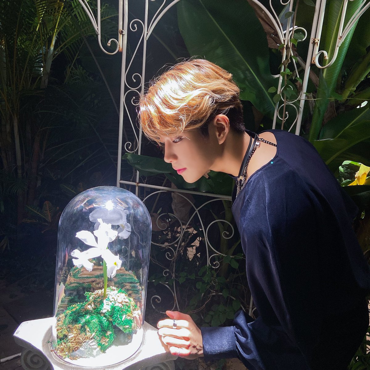 rantclara's tweet image. my first post will be this little fairy