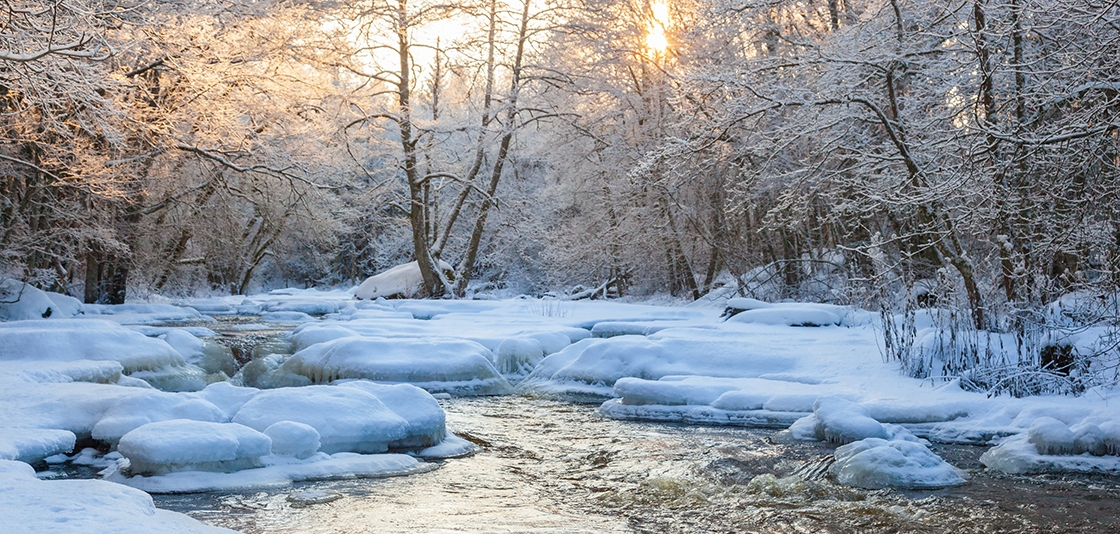 AnchorFab's tweet photo. Winter Begins! #anchorfab #connect2anchor https://t.co/Qmcr3T9rvx