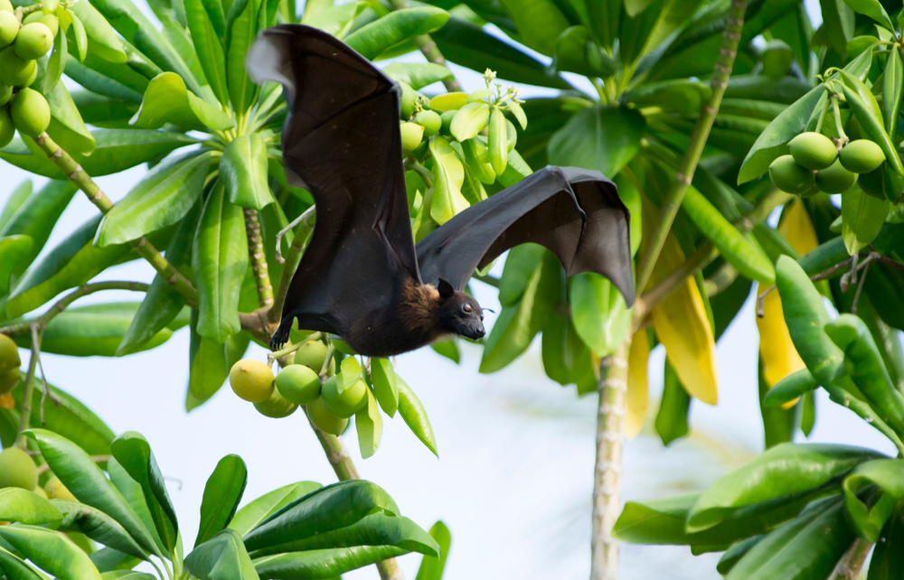 theGEF's tweet image. By providing the tools to produce quality, scientifically sound data for #biodiversity reporting, @UNEP helps countries w/ national planning and meeting conservation targets. This work is vital for shifting the needle on #environmental issues. wrld.bg/EONc50xG4CE #superyear