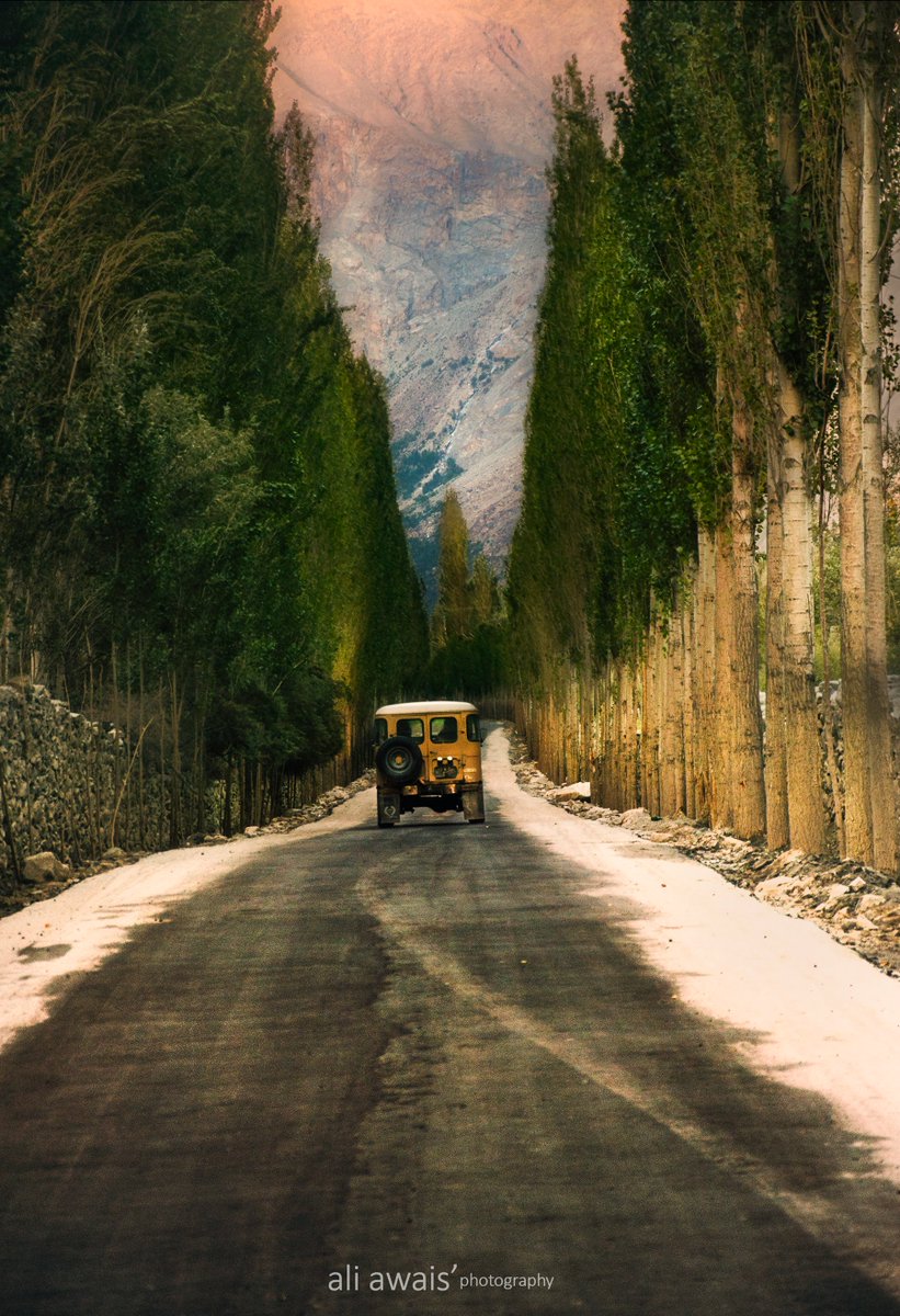 ali_awais's tweet photo. Some more pictures from our fun filled summer trip 2016. We covered the areas of Astore, Skardu and Ghanche dist. , Gilgit Baltistan, Pakistan. 

#yebhihaipakistan #aliawais #pakistan #aliawais #beautyofpakistan  #nature @ImranKhanPTI
 #travelinPakistan 
@NatGeo @Bisinmotion https://t.co/ZEgT1N7njq