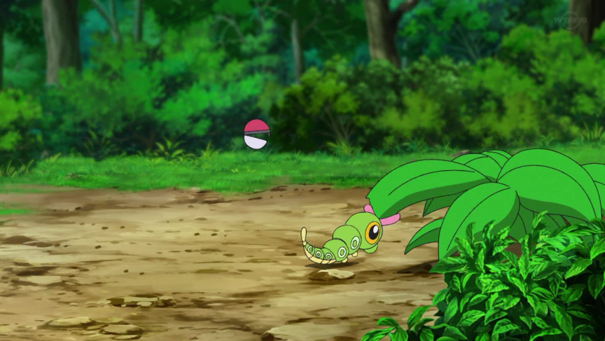 まきとかげ 自動人形 على تويتر アニポケ Anipoke ゴウは ポケモンgo のgo キャタピー ナイス パラス パラセクト グレイト ストライクのボールカウンター ゴウとヒバニーが飛ばされていますー