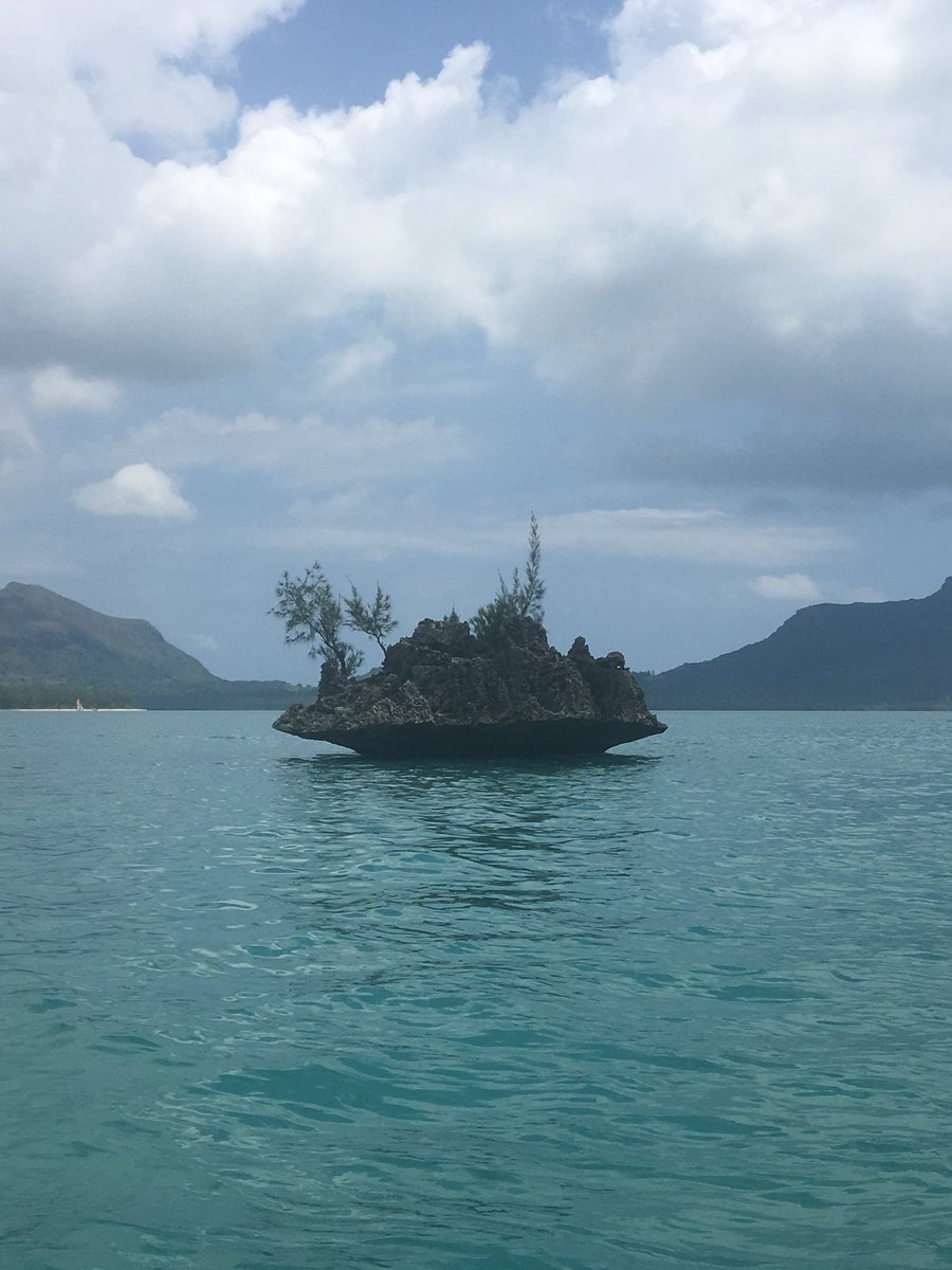 natdomah's tweet photo. Dolphin encounter in beautiful mauritius #mauritius #TamarinBay #LeBenitier https://t.co/wydrIUItDr