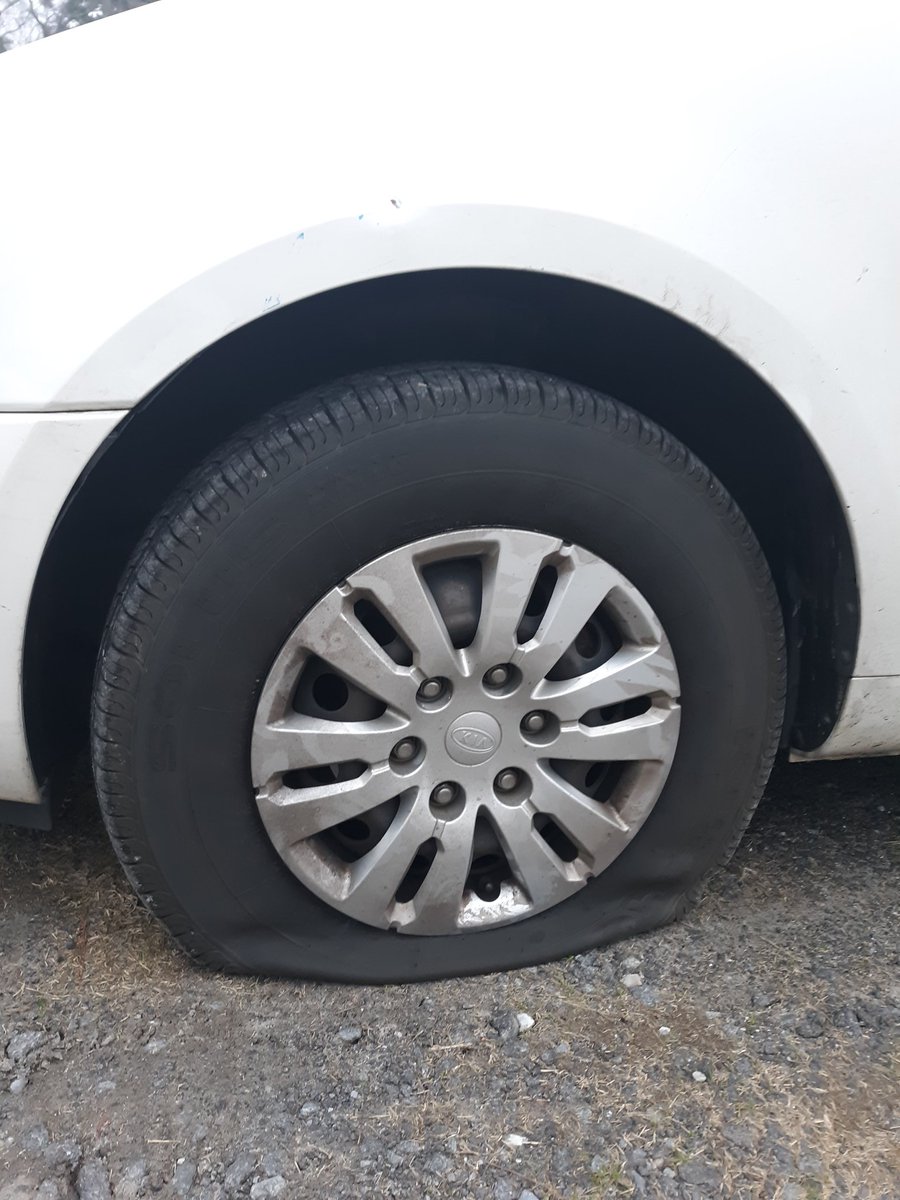 WVPitt's tweet photo. That's a lovely thing to wake up to on a Sunday morning. Good thing we don't have far to drive for Lord's Day worship. 🤣
#manselife #parsonageisthebest https://t.co/3q9xY5IlB6