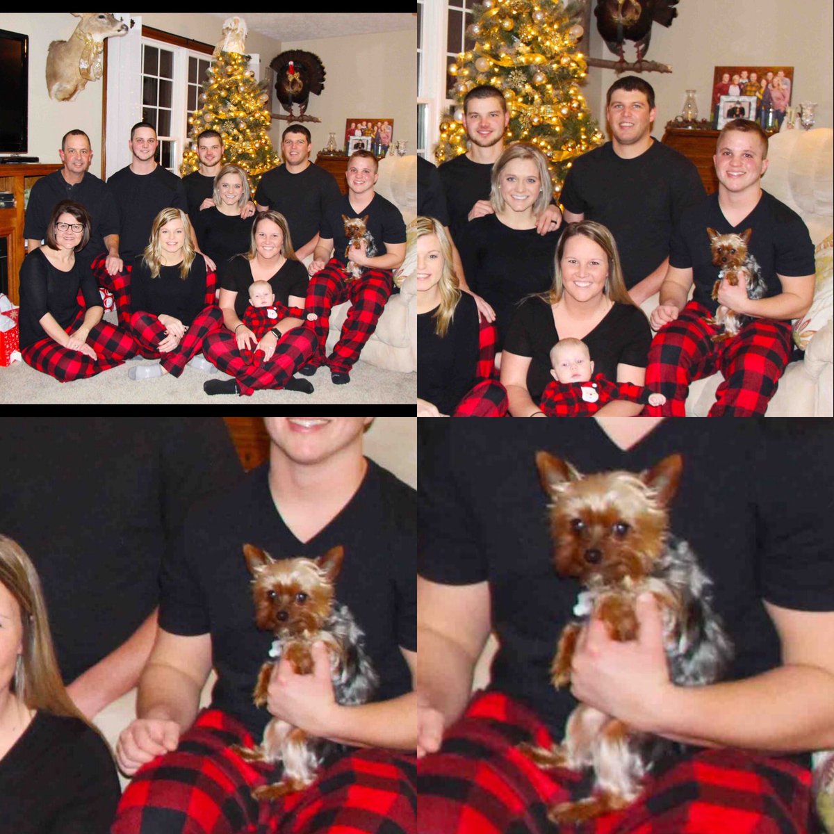 kraay13's tweet photo. Jett nailed the fam photo this year. So photogenic.🎅🏼🎄🤣 https://t.co/cuz3fKLhII