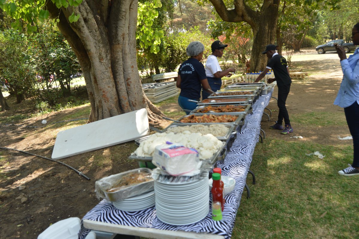 seed festival