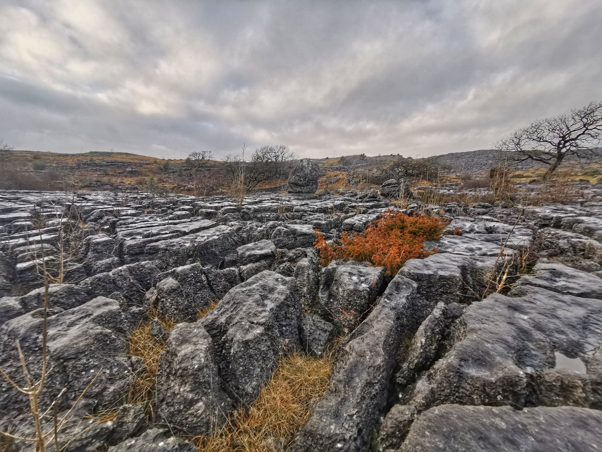 Farleton Knott yesterday.