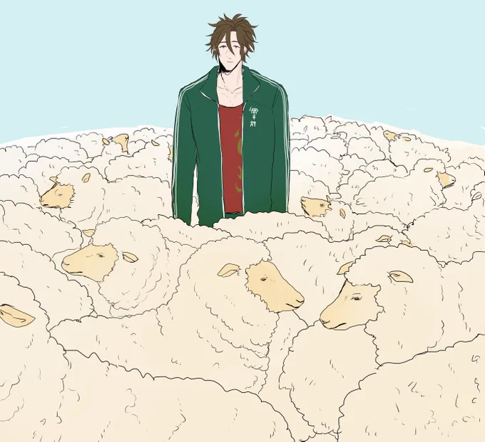 🐑🐑🐑 