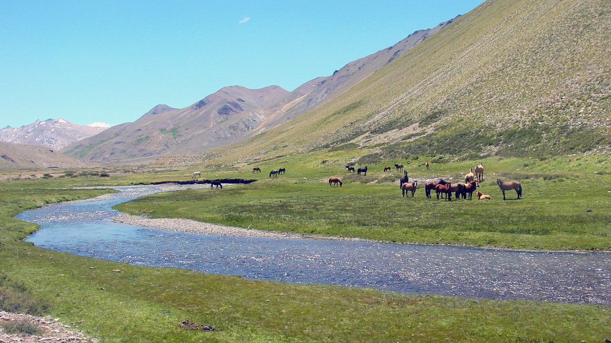 laslenasresort's tweet image. Comienza el verano, la estación más cálida del año.
Te esperamos en #LasLeñas para disfrutar del lujo del Piscis Hotel Casino &amp;amp; Spa  y las mejores actividades de aventura.
#LasLeñas #Verano2020 #Cabalgatas #PiscisHotelCasinoSpa