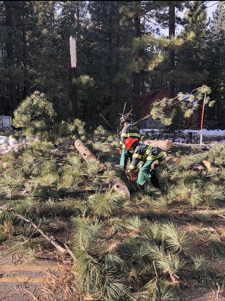 Crews are clearing a large tree across Sierra Blvd at Bertha Ave. please avoid the area if possible.