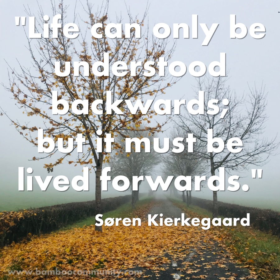 bamboo_tweet's tweet photo. How do you 'live forwards' from day to day? What role do faith and trust have in this for you?

#bamboocommunity #sørenkierkegaard #weeklyquote #life #contemplation https://t.co/uZZW8v8KyM