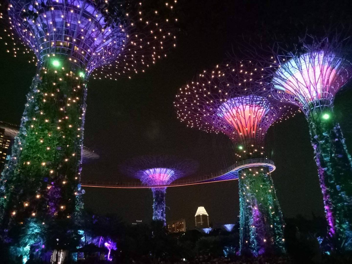 RubbeCroall's tweet image. Hunh