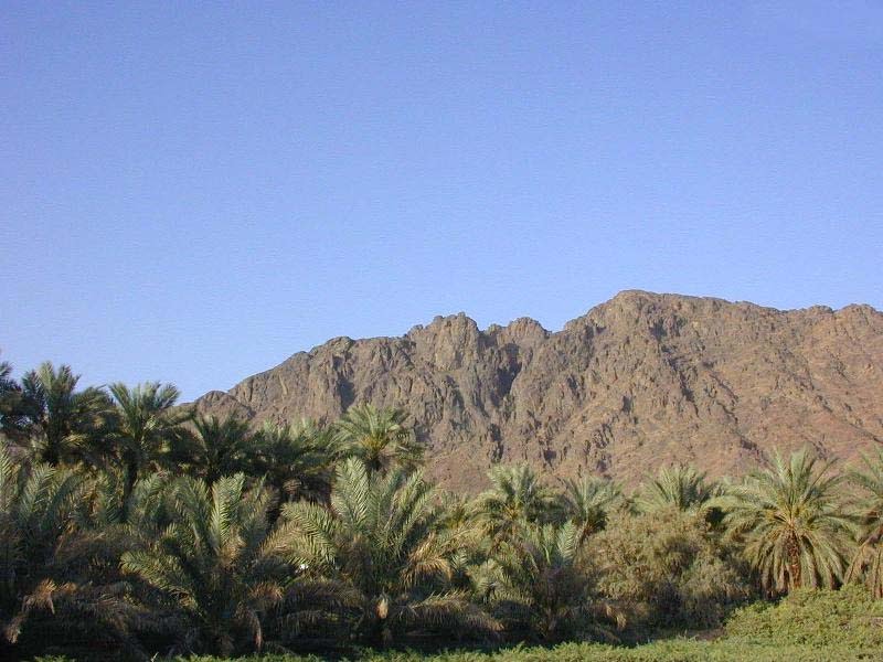 ثالثا:-أسماء بعض البساتين المحيطة بالمدينة المنورة
أولاً :جنوباًمن جهةالكعبةوالعالية
العباسية،القائم،العصبة،القويم، البحر،الجزع،الحسينية،بئر شميلة،الصافية،سوالة،الزاهدية  صيران ،الظهر و الظهيرة
ثانياً : من جهة العلوالي وقربان
الماجشونية،مراغة،شرفة،البحر، البدرية،العشير،الفرس
1️⃣