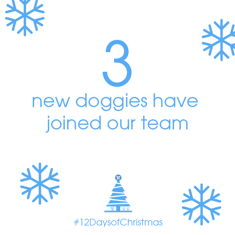 fairfieldmoney's tweet photo. 3 DAYS 'TIL CHRISTMAS!! And we're celebrating with our canine friends. 3 beautiful new pups have joined the family this year πΆπΆ
#3DaysToGo #ChristmasCountdown #ChristmasIsComing #FairfieldFinancialSolutions #FFS #Mortgage #Protection #Family #Dogs #DogsOfInstagram https://t.co/ssGu9uX7zS