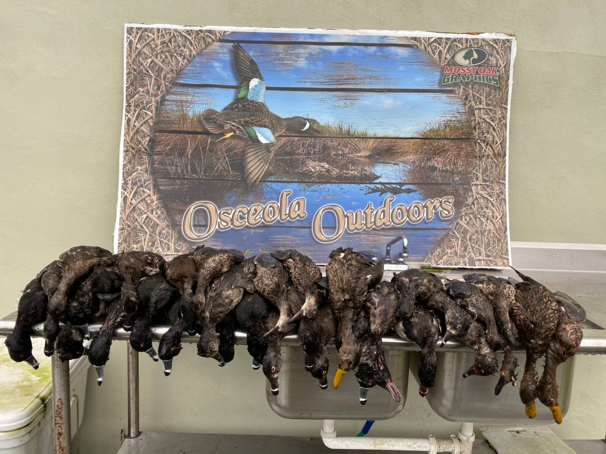 osceolaoutdoors's tweet photo. https://t.co/xRusGYF9KC Give us a shout to book a hunt!! Sykes and Pistol are always ready!! #OSCEOLAOUTDOORSGUIDES #nomadoutdoors https://t.co/ucujAxDnUx