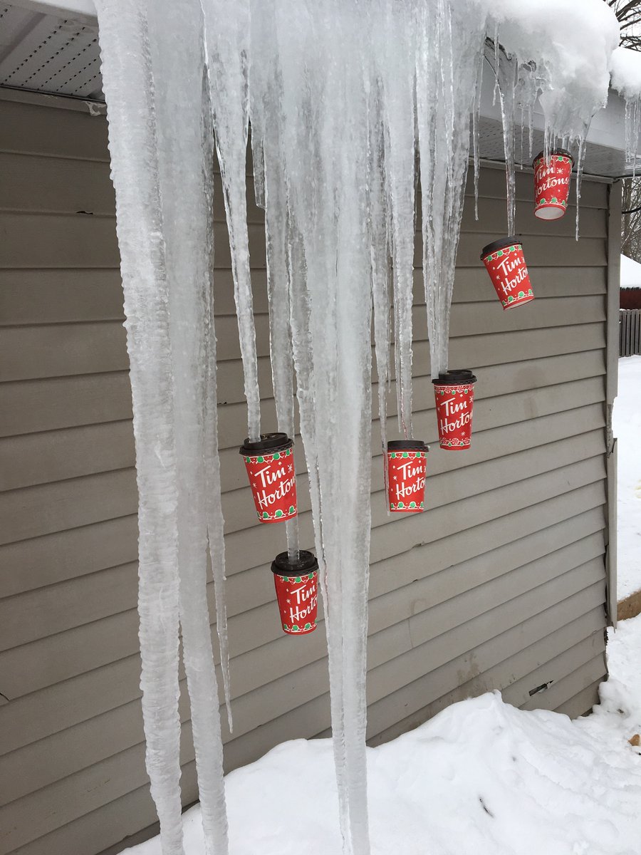 markmaclean444's tweet photo. Merry Christmas. Recycled Tim cups on my shed as decorations @timhortons https://t.co/CD8Ook5aVq