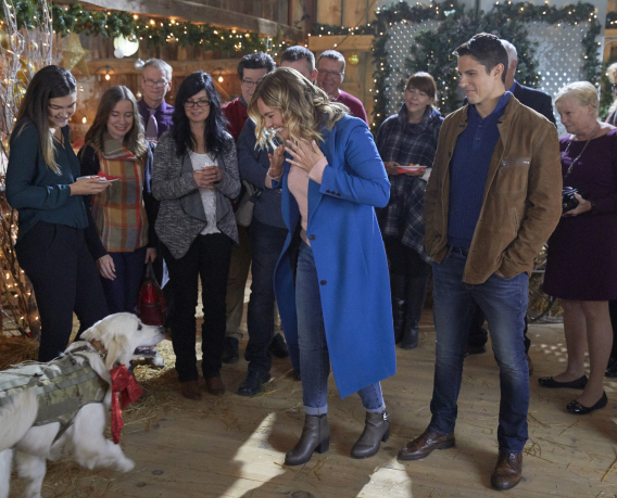 LifetimeSA's tweet photo. Captain Grace Garland, a decorated US veteran, returns home. After being separated from her beloved K9 partner, Grace must rediscover the magic of Christmas. Watch ‘A Veteran’s Christmas’ tonight at 19:20 CAT Lifetime DStv 131. #Lifetime131 #itsawonderfullifetime https://t.co/uLev2VI7KJ