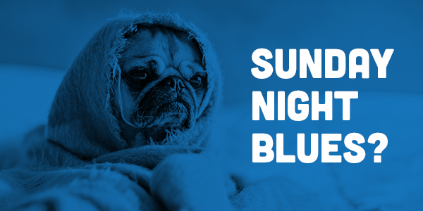 ITHRTech's tweet photo. Sunday blues? Dreading going into work tomorrow? Perhaps it's time for a change! Check out our current live roles across Europe in the link provided. #jobs #ithrtech #tech #IT #telco #hiring https://t.co/ODsLOnMeGP https://t.co/E2wAynkyfI