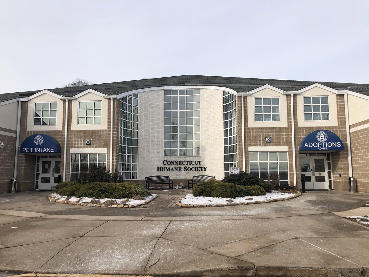 NDFprincipal's tweet photo. Yesterday morning, the Cips made our annual visit to the @cthumane to deliver your #26ActsofKindness pet food donations. 

Coats and sweatshirts donated to United Way. Food to Blessed Sacrament Food Pantry. Books to Horizons program. Diapers to Shehan Center families.

THANK YOU! https://t.co/1ixiYBs320