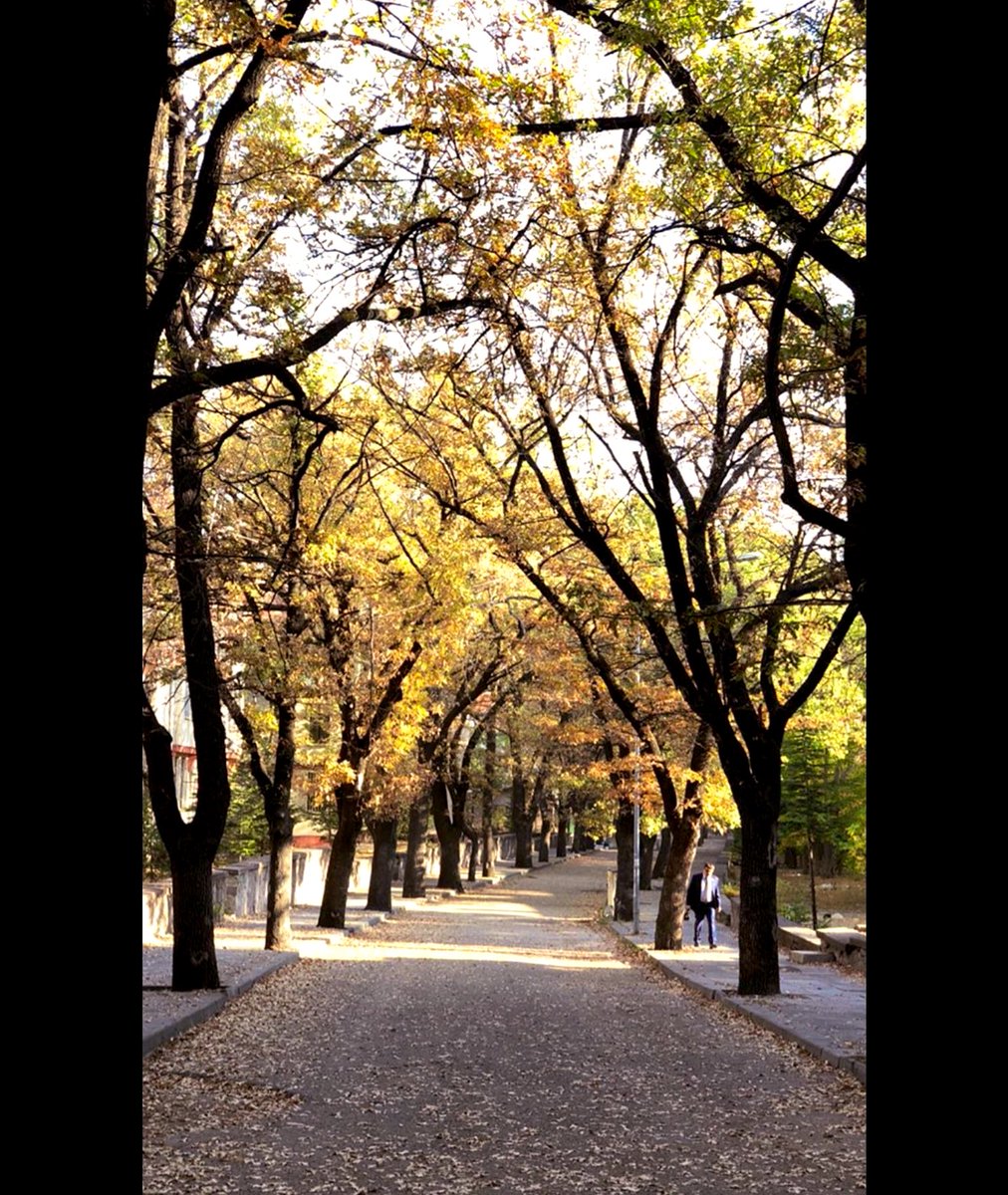 mrvee_mrvee's tweet photo. Can’ım Ankara🍂 https://t.co/N8D5E8hexJ